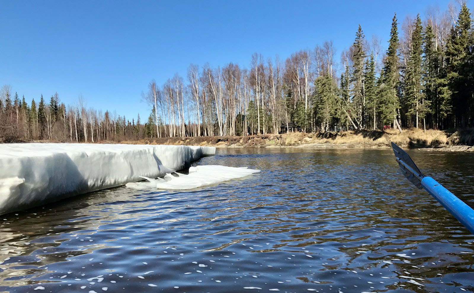 Spring rafting tours in Alaska are a great time to see the changing seasons
